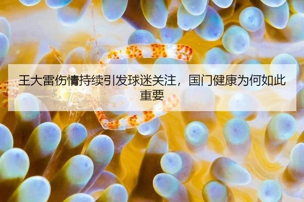 王大雷伤情持续引发球迷关注，国门健康为何如此重要