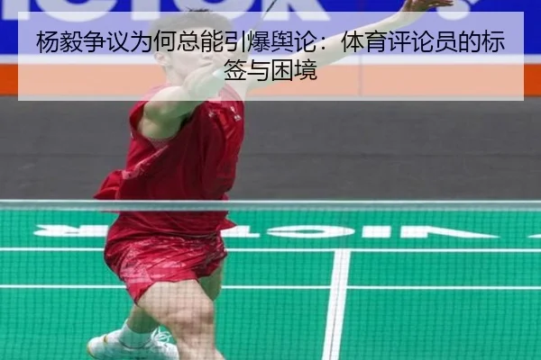 yang-yi-zheng-yi-wei-he-zong-neng-yin-bao-yu-lun-ti-yu-ping-lun-yuan-de-biao-qian-yu-kun-jing-2-619.jpg